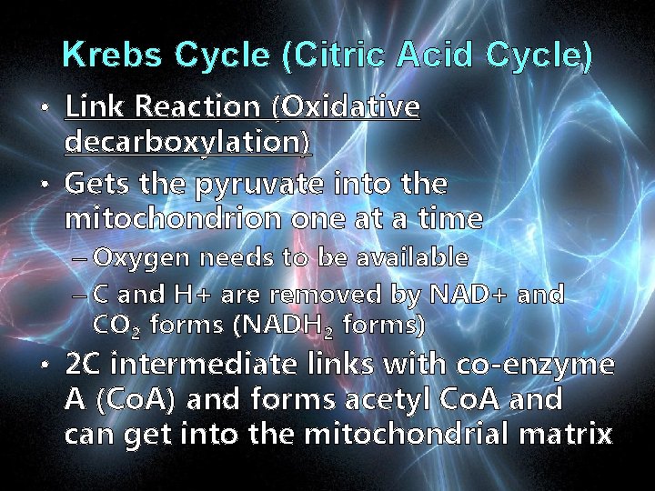 Krebs Cycle (Citric Acid Cycle) • Link Reaction (Oxidative decarboxylation) • Gets the pyruvate