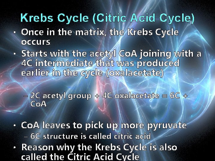 Krebs Cycle (Citric Acid Cycle) • Once in the matrix, the Krebs Cycle occurs