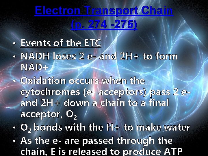 Electron Transport Chain (p. 274 -275) • Events of the ETC • NADH loses