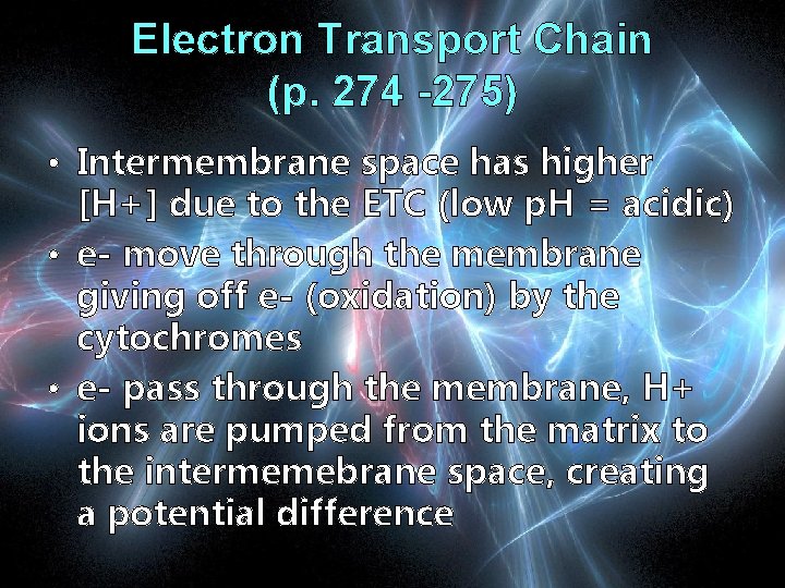 Electron Transport Chain (p. 274 -275) • Intermembrane space has higher [H+] due to