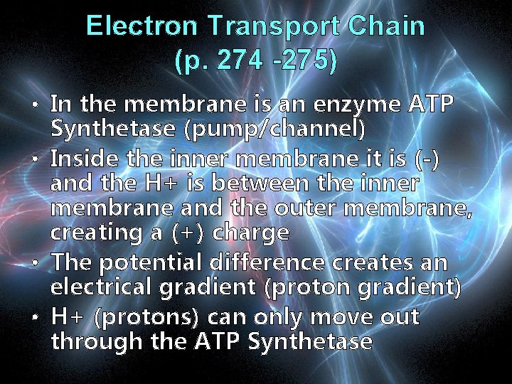 Electron Transport Chain (p. 274 -275) • In the membrane is an enzyme ATP