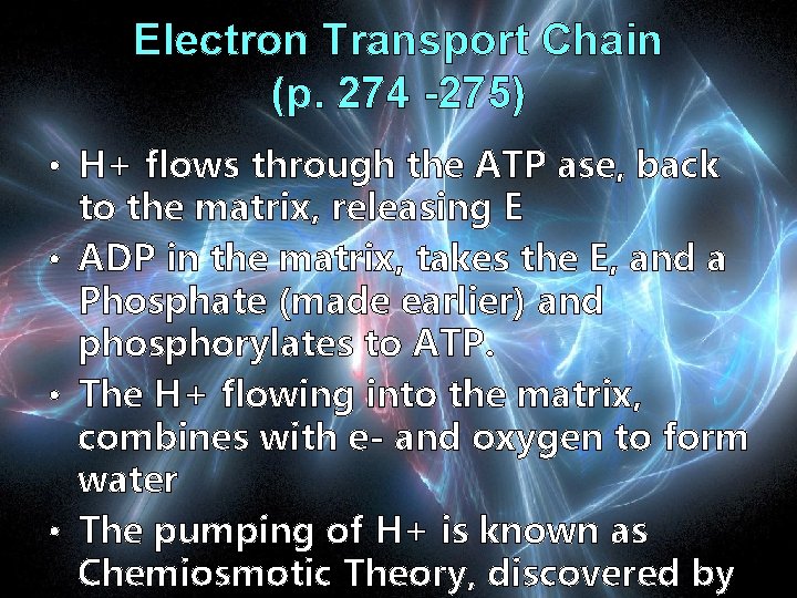 Electron Transport Chain (p. 274 -275) • H+ flows through the ATP ase, back