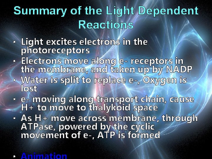Summary of the Light Dependent Reactions • Light excites electrons in the photoreceptors •