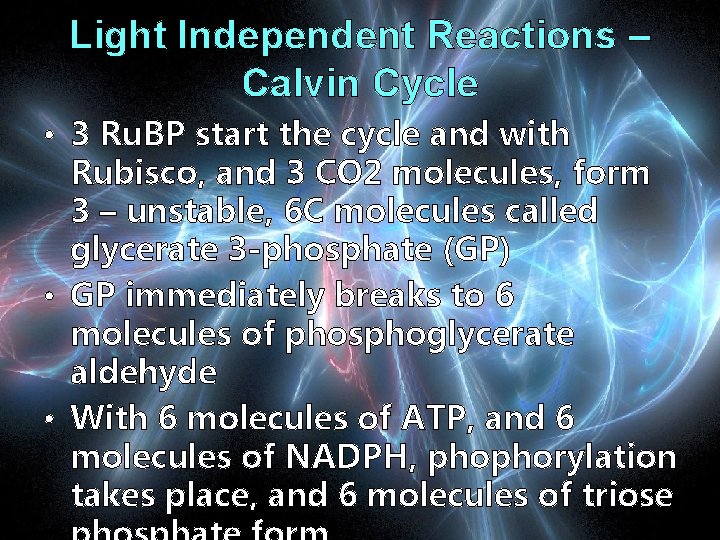 Light Independent Reactions – Calvin Cycle • 3 Ru. BP start the cycle and