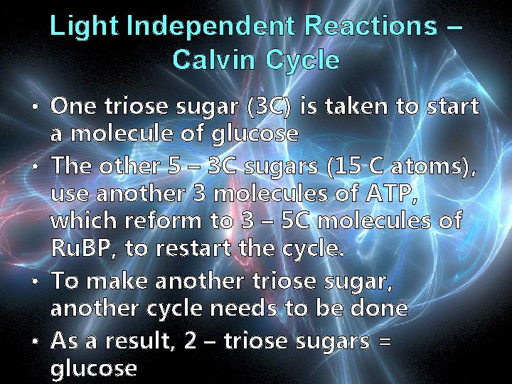 Light Independent Reactions – Calvin Cycle • One triose sugar (3 C) is taken