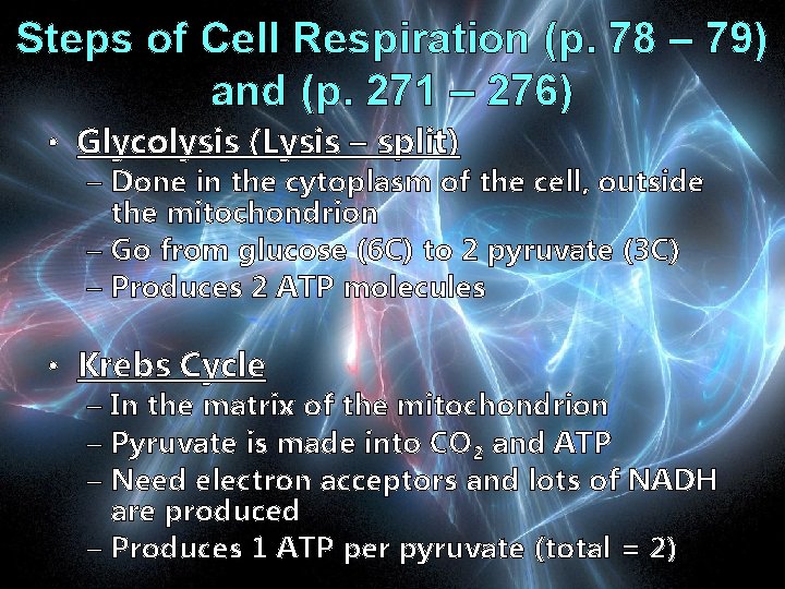 Steps of Cell Respiration (p. 78 – 79) and (p. 271 – 276) •