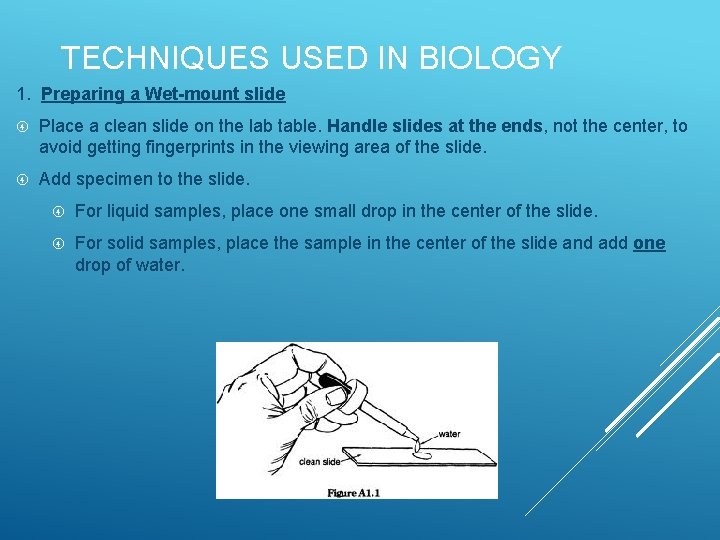 TECHNIQUES USED IN BIOLOGY 1. Preparing a Wet-mount slide Place a clean slide on TECHNIQUES USED IN BIOLOGY 1. Preparing a Wet-mount slide Place a clean slide on