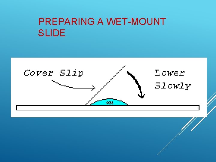 PREPARING A WET-MOUNT SLIDE  PREPARING A WET-MOUNT SLIDE