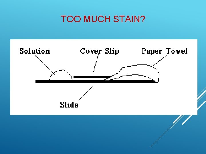 TOO MUCH STAIN?  TOO MUCH STAIN?