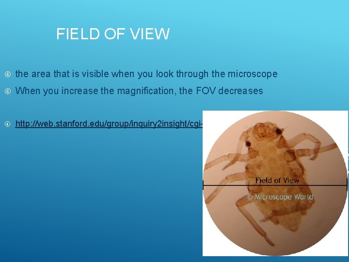 FIELD OF VIEW the area that is visible when you look through the microscope FIELD OF VIEW the area that is visible when you look through the microscope