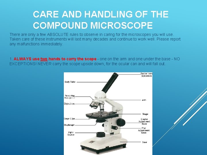 CARE AND HANDLING OF THE COMPOUND MICROSCOPE There are only a few ABSOLUTE rules CARE AND HANDLING OF THE COMPOUND MICROSCOPE There are only a few ABSOLUTE rules