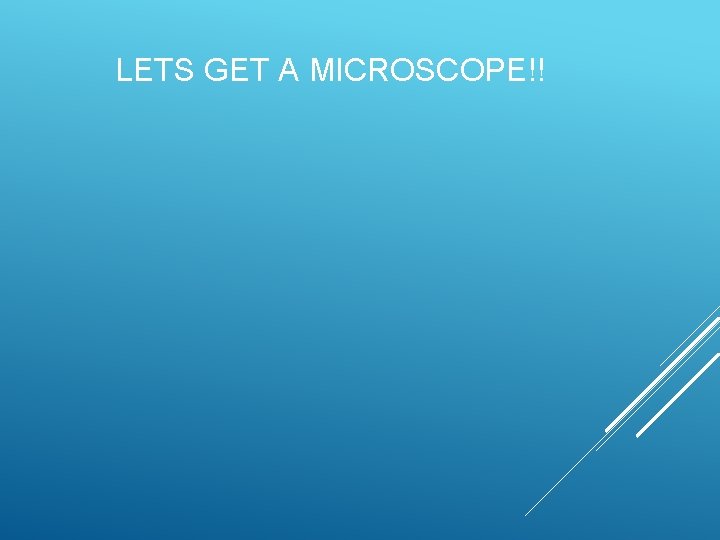LETS GET A MICROSCOPE!!  LETS GET A MICROSCOPE!!