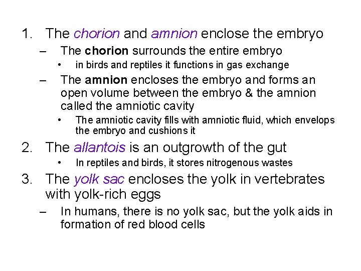 1. The chorion and amnion enclose the embryo – The chorion surrounds the entire