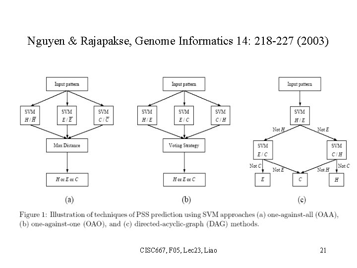 Nguyen & Rajapakse, Genome Informatics 14: 218 -227 (2003) CISC 667, F 05, Lec