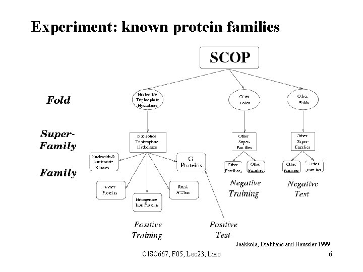 Experiment: known protein families Jaakkola, Diekhans and Haussler 1999 CISC 667, F 05, Lec