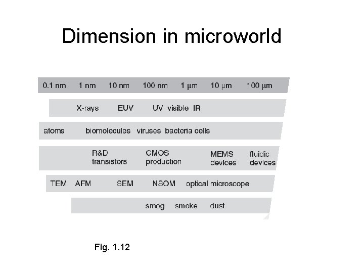 Dimension in microworld Fig. 1. 12 