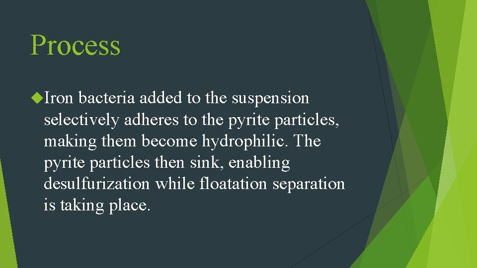 Process Iron bacteria added to the suspension selectively adheres to the pyrite particles, making