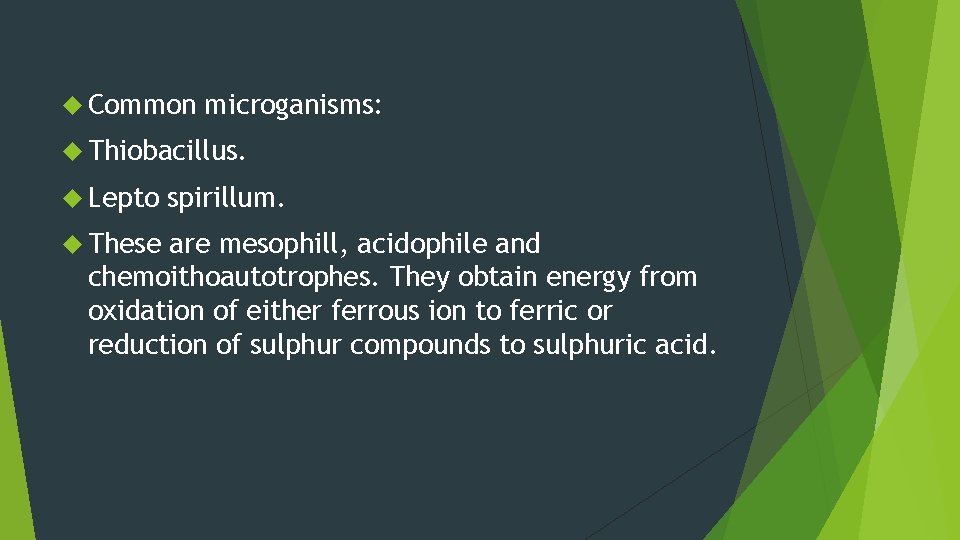  Common microganisms: Thiobacillus. Lepto These spirillum. are mesophill, acidophile and chemoithoautotrophes. They obtain