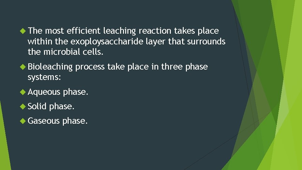  The most efficient leaching reaction takes place within the exoploysaccharide layer that surrounds