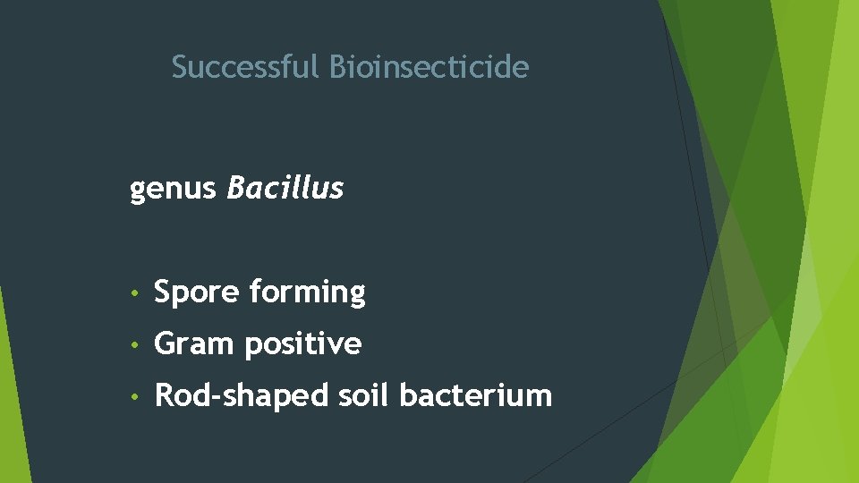 Successful Bioinsecticide genus Bacillus • Spore forming • Gram positive • Rod-shaped soil bacterium