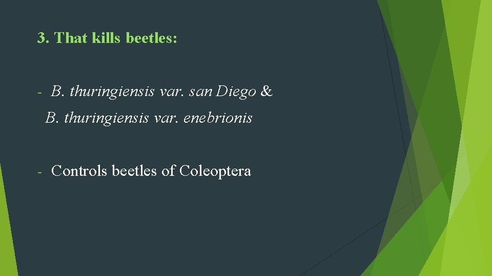 3. That kills beetles: - B. thuringiensis var. san Diego & B. thuringiensis var.