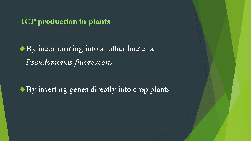 ICP production in plants By - incorporating into another bacteria Pseudomonas fluorescens By inserting