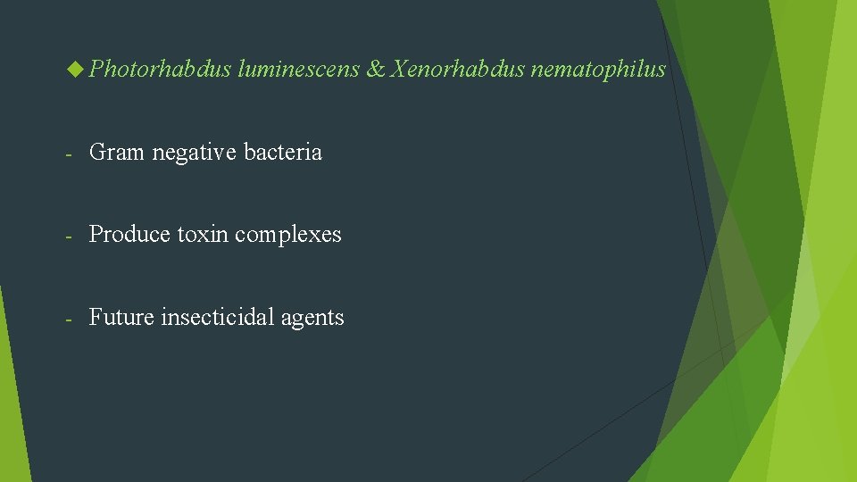  Photorhabdus luminescens & Xenorhabdus nematophilus - Gram negative bacteria - Produce toxin complexes