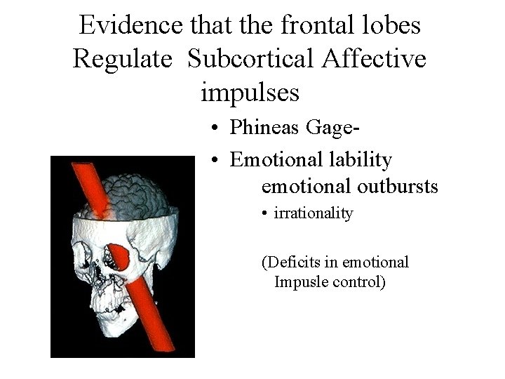 Evidence that the frontal lobes Regulate Subcortical Affective impulses • Phineas Gage • Emotional