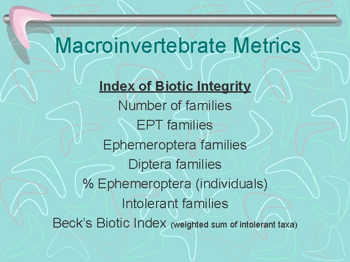 Macroinvertebrate Metrics Index of Biotic Integrity Number of families EPT families Ephemeroptera families Diptera