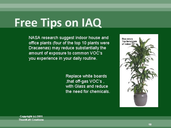 Free Tips on IAQ NASA research suggest indoor house and office plants (four of