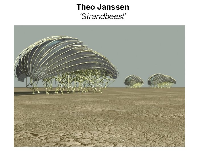 Theo Janssen ‘Strandbeest’ 