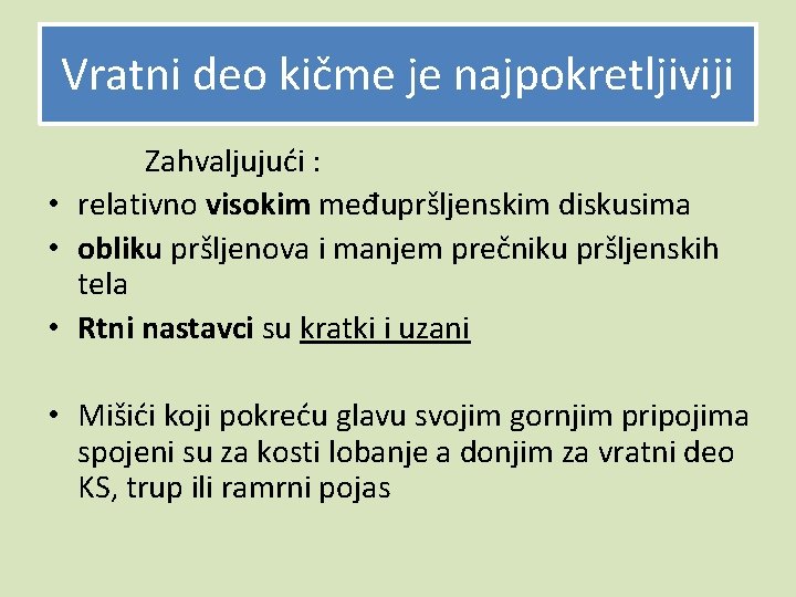 Vratni deo kičme je najpokretljiviji Zahvaljujući : • relativno visokim međupršljenskim diskusima • obliku