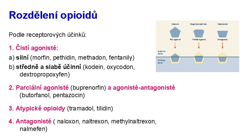 Rozdělení opioidů Podle receptorových účinků: 1. Čistí agonisté: a) silní (morfin, pethidin, methadon, fentanily)