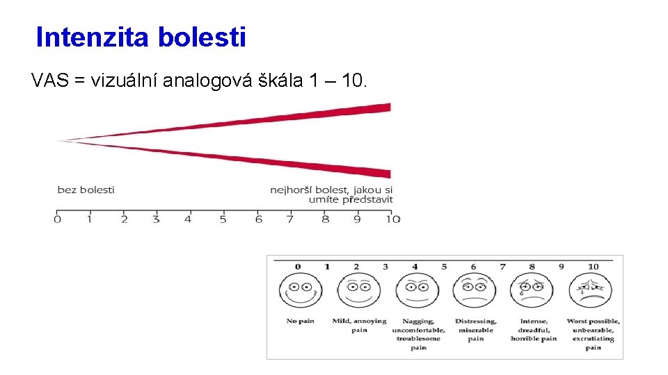 Intenzita bolesti VAS = vizuální analogová škála 1 – 10. 