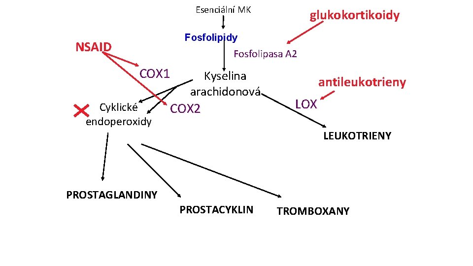 Esenciální MK glukokortikoidy Fosfolipidy NSAID Fosfolipasa A 2 COX 1 Cyklické endoperoxidy Kyselina arachidonová