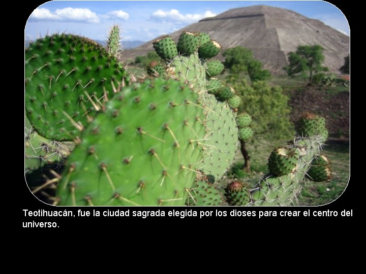 Teotihuacán, fue la ciudad sagrada elegida por los dioses para crear el centro del