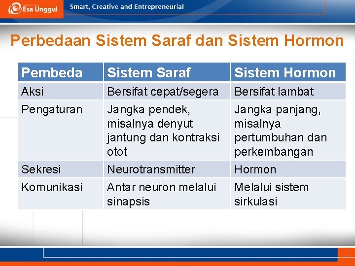 Perbedaan Sistem Saraf dan Sistem Hormon Pembeda Sistem Saraf Sistem Hormon Aksi Pengaturan Bersifat
