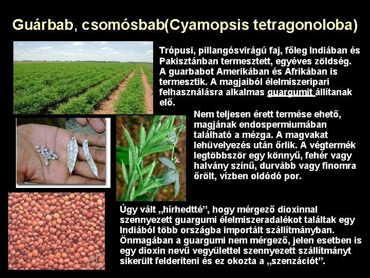 Guárbab, csomósbab(Cyamopsis tetragonoloba) Trópusi, pillangósvirágú faj, főleg Indiában és Pakisztánban termesztett, egyéves zöldség. A