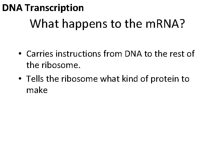 DNA Transcription What happens to the m. RNA? • Carries instructions from DNA to