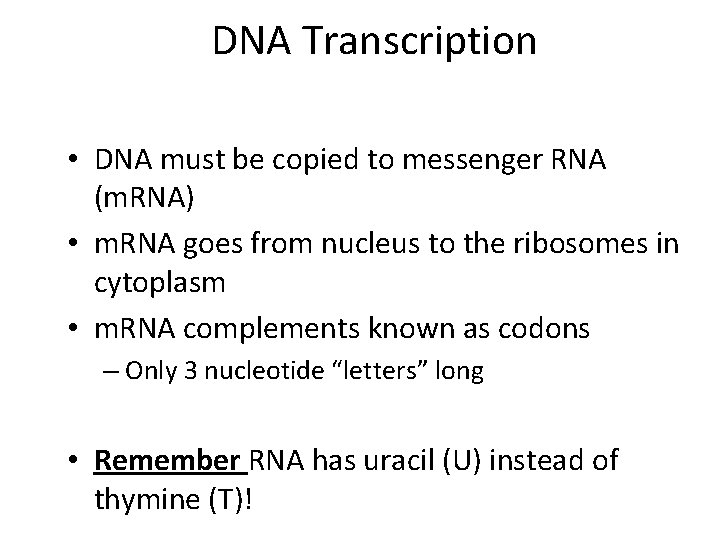 DNA Transcription • DNA must be copied to messenger RNA (m. RNA) • m.