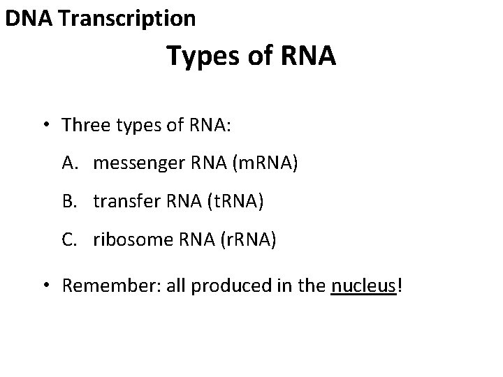 DNA Transcription Types of RNA • Three types of RNA: A. messenger RNA (m.