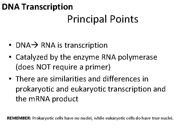 DNA Transcription Principal Points • DNA RNA is transcription • Catalyzed by the enzyme