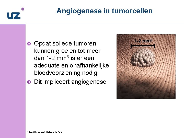 Angiogenese in tumorcellen Opdat soliede tumoren kunnen groeien tot meer dan 1 -2 mm