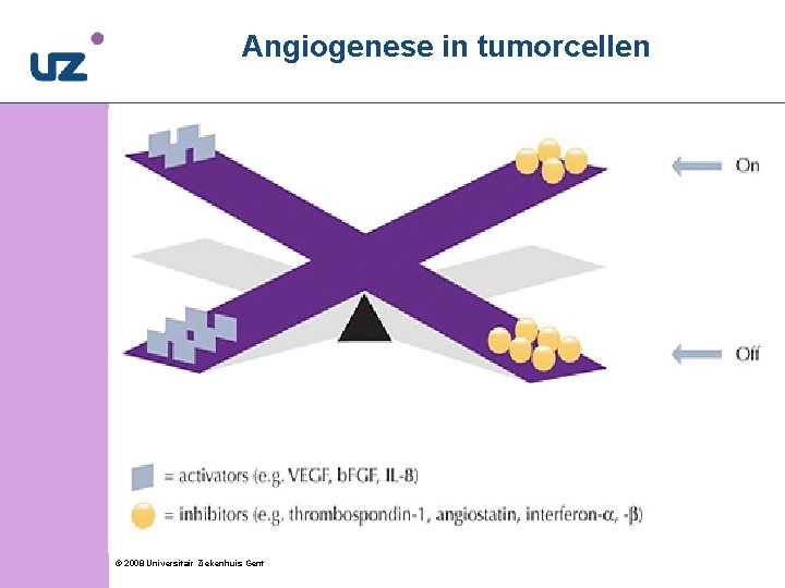 Angiogenese in tumorcellen © 2008 Universitair Ziekenhuis Gent 7 