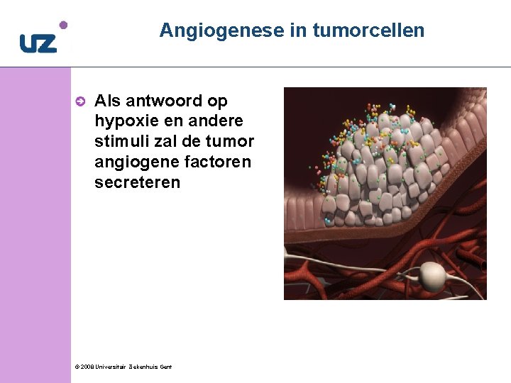 Angiogenese in tumorcellen 8 Als antwoord op hypoxie en andere stimuli zal de tumor