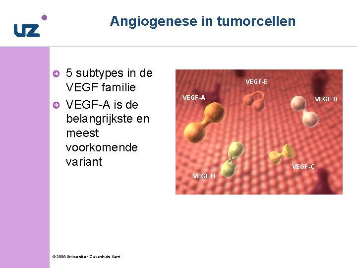 9 Angiogenese in tumorcellen 5 subtypes in de VEGF familie VEGF-A is de belangrijkste