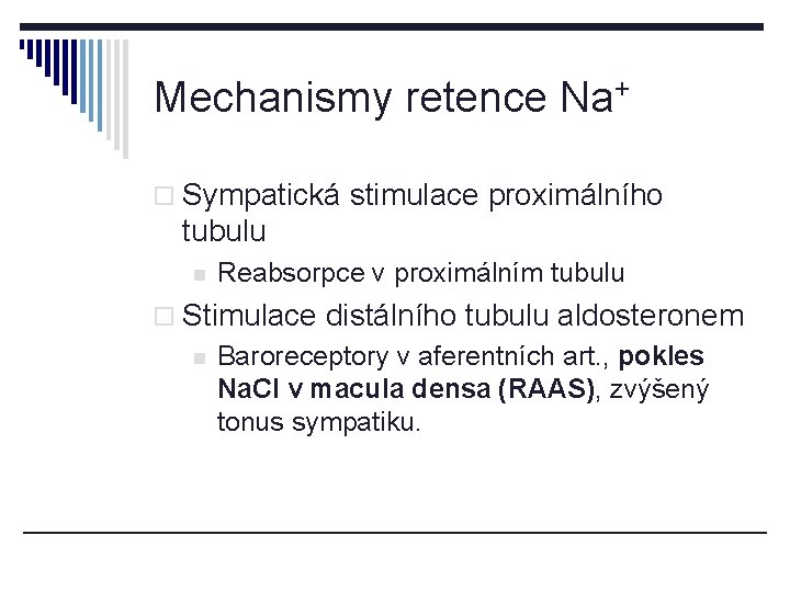 Mechanismy retence Na+ o Sympatická stimulace proximálního tubulu n Reabsorpce v proximálním tubulu o