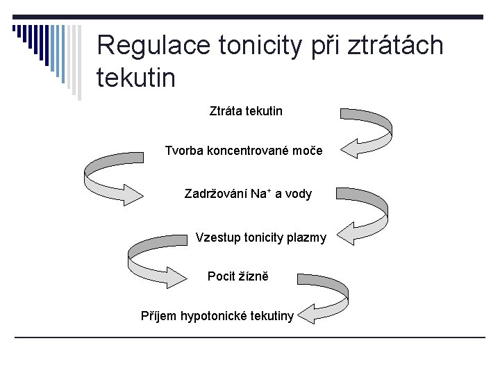 Regulace tonicity při ztrátách tekutin Ztráta tekutin Tvorba koncentrované moče Zadržování Na+ a vody