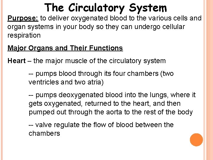The Circulatory System Purpose: to deliver oxygenated blood to the various cells and organ