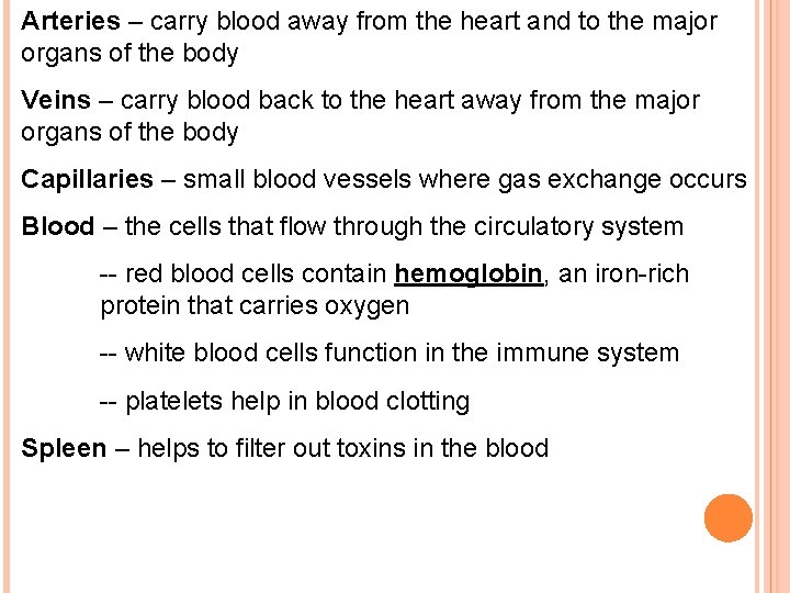 Arteries – carry blood away from the heart and to the major organs of